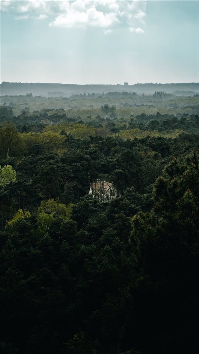 On my last hike in the Fontainebleau forest  outsi... iPhone 8 wallpaper 