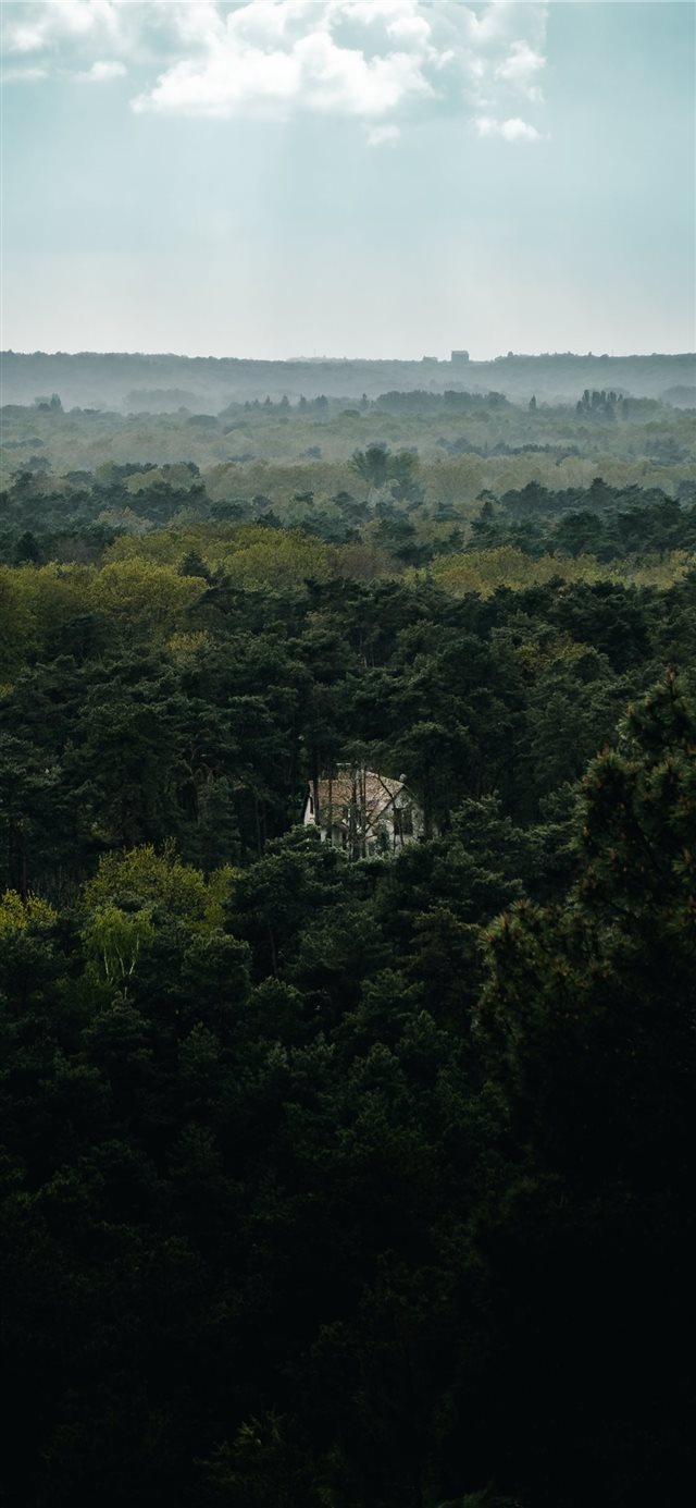 On my last hike in the Fontainebleau forest  outsi... iPhone X wallpaper 