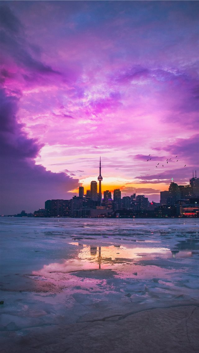Polson Pier  Toronto  Canada iPhone 8 wallpaper 