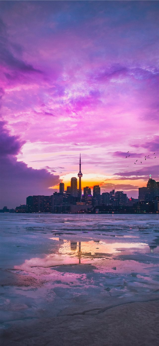 Polson Pier  Toronto  Canada iPhone X wallpaper 