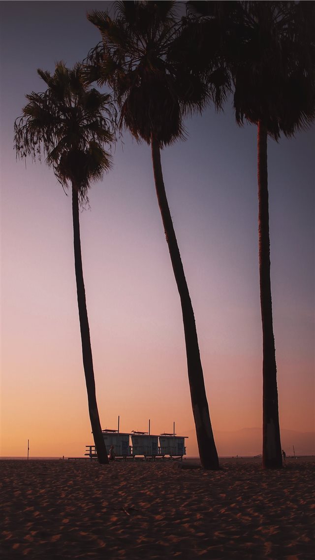 Sunsets in Venice Beach are like ketchup to your f... iPhone 8 wallpaper 