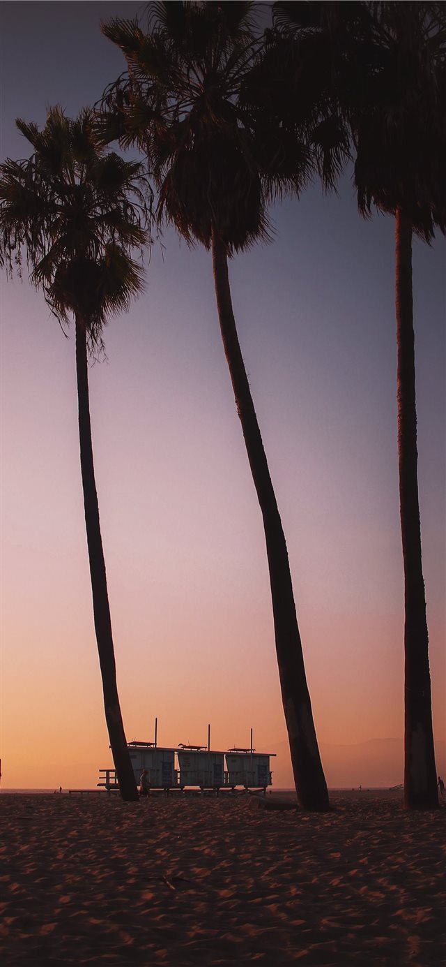 Sunsets in Venice Beach are like ketchup to your f... iPhone X wallpaper 