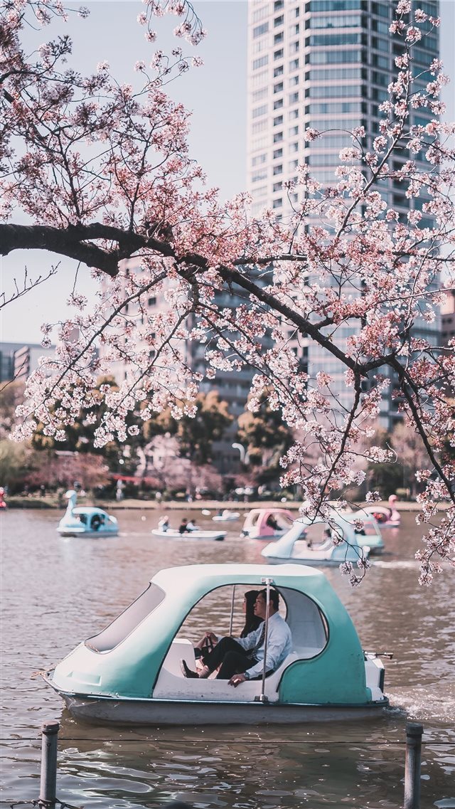 Ueno Park  Tokyo  Japan iPhone 8 wallpaper 