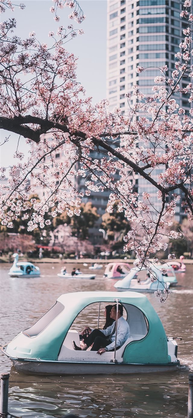 Ueno Park  Tokyo  Japan iPhone X wallpaper 