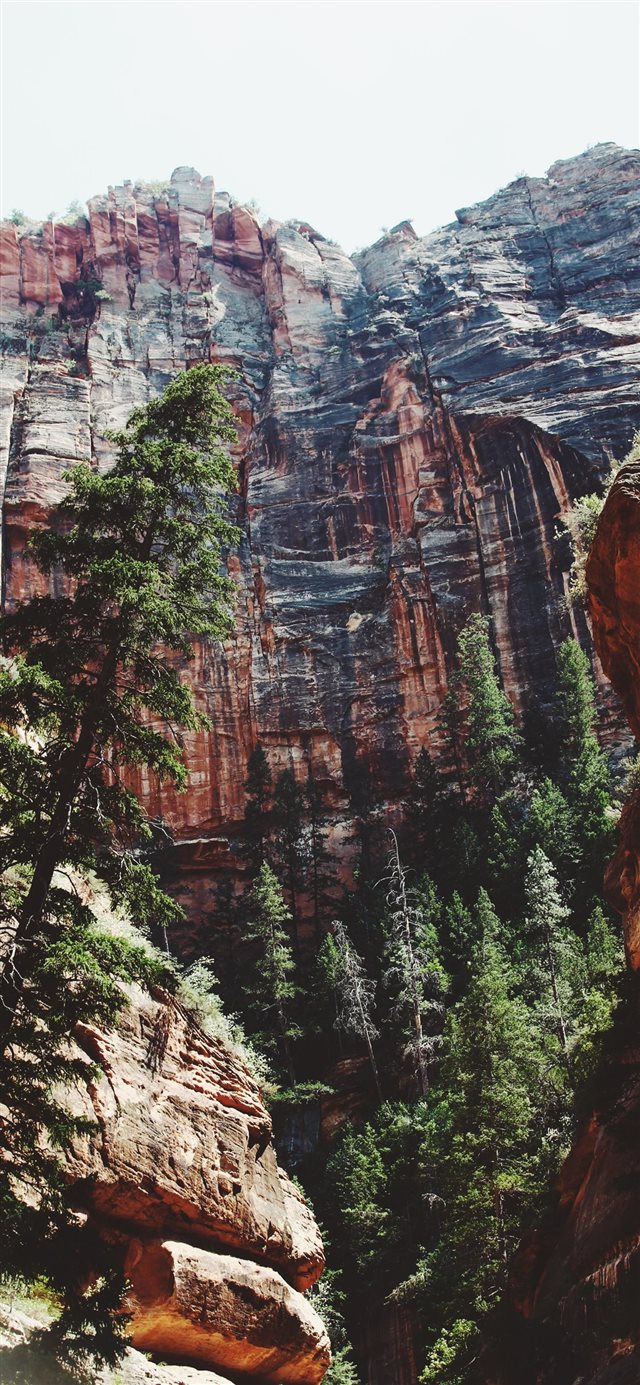 Zion National Park  Springdale  UT  United States iPhone X wallpaper 