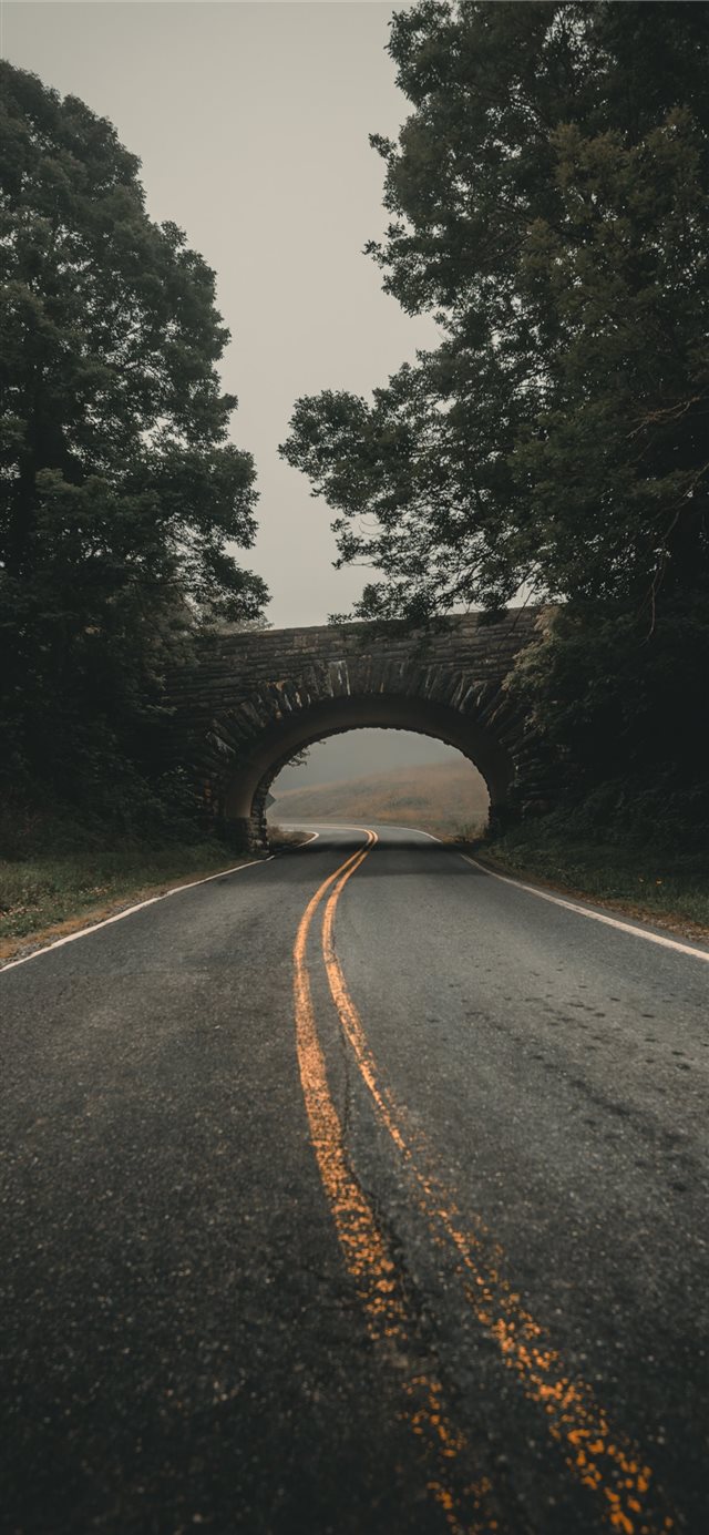 Searching for trolls in North Carolina iPhone X wallpaper 