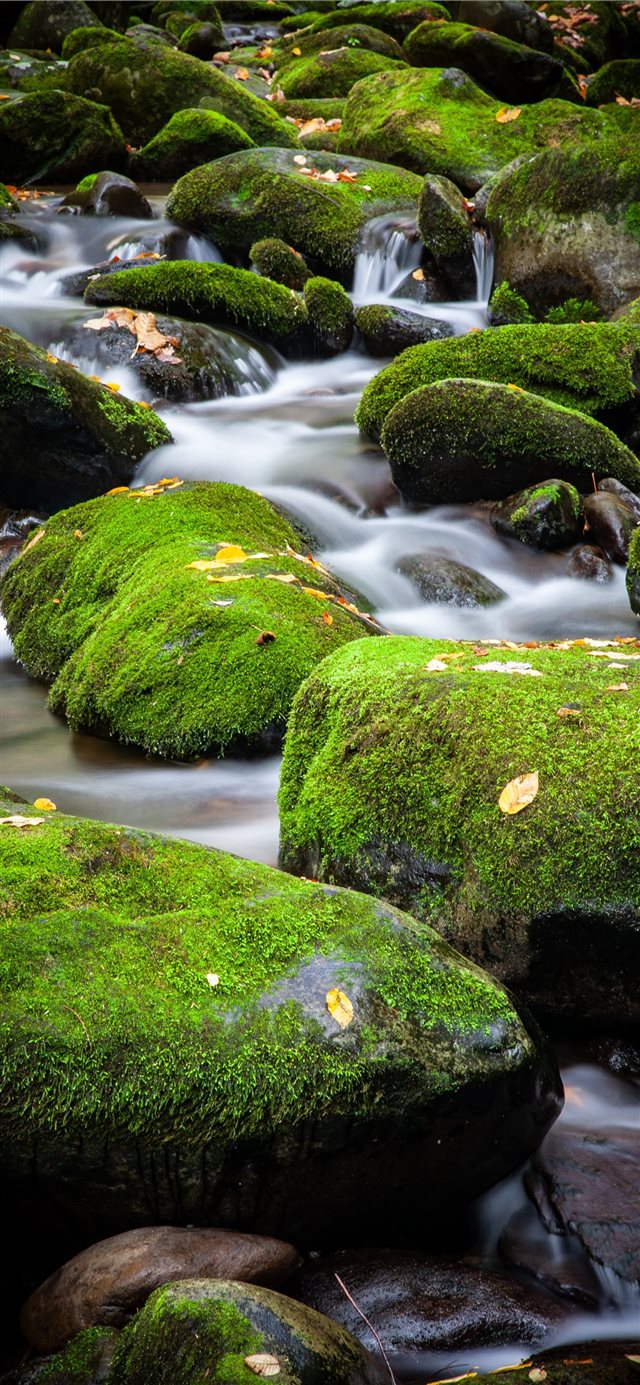 A small cascade over moss covered rocks in Great S... iPhone X wallpaper 