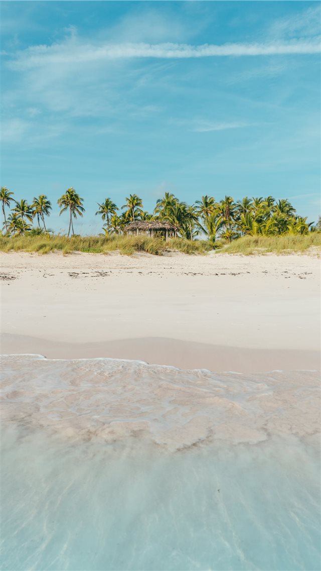 Bahamas iPhone 8 wallpaper 