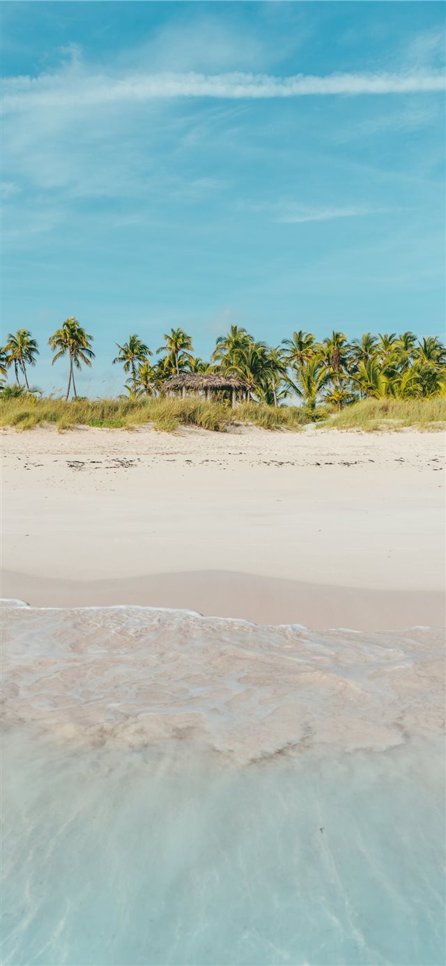 Bahamas iPhone X wallpaper 