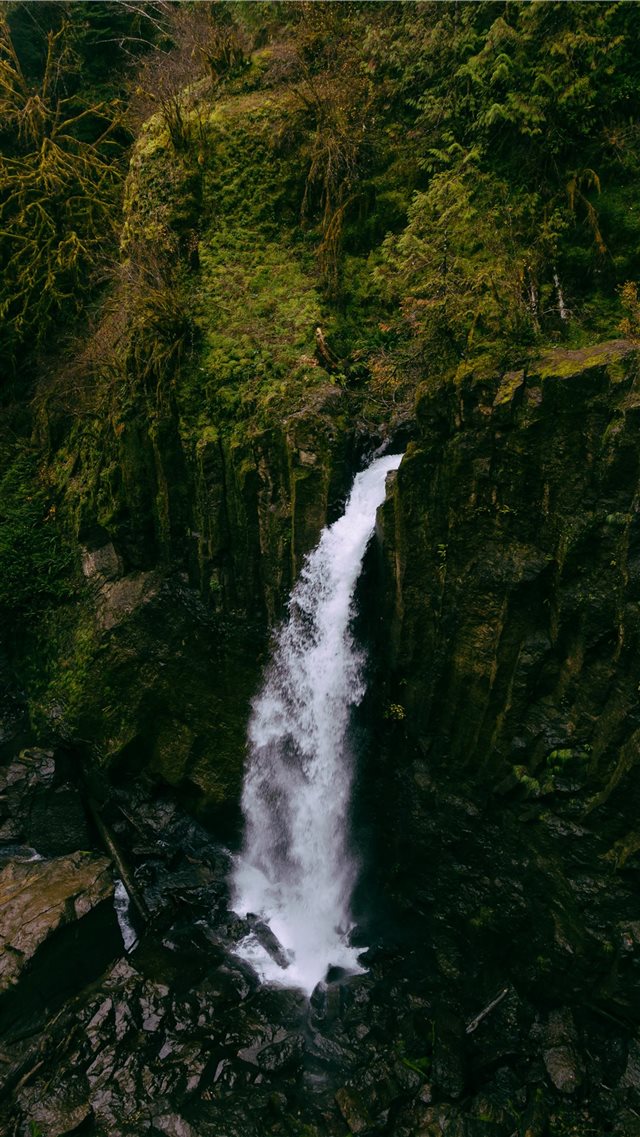Drift Creek Falls  Lincoln City  Oregon  United St... iPhone 8 wallpaper 