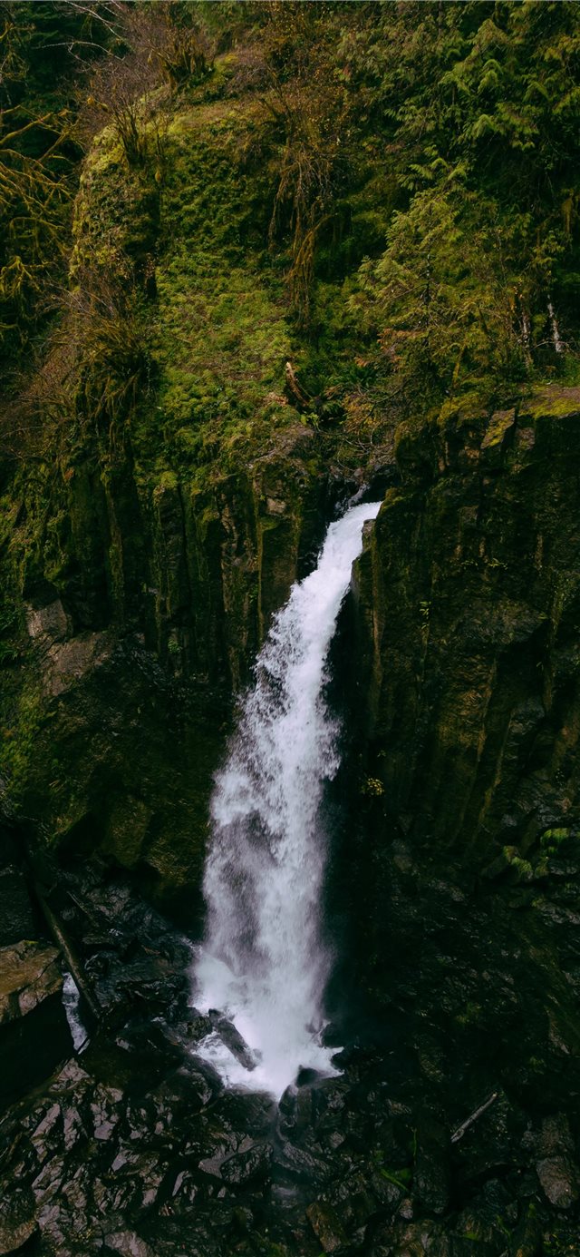 Drift Creek Falls  Lincoln City  Oregon  United St... iPhone X wallpaper 