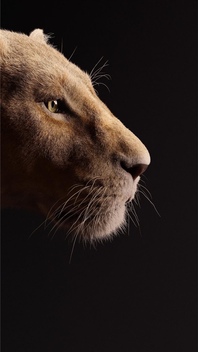 beyonce as nala the lion king 2019 5k iPhone 8 wallpaper 
