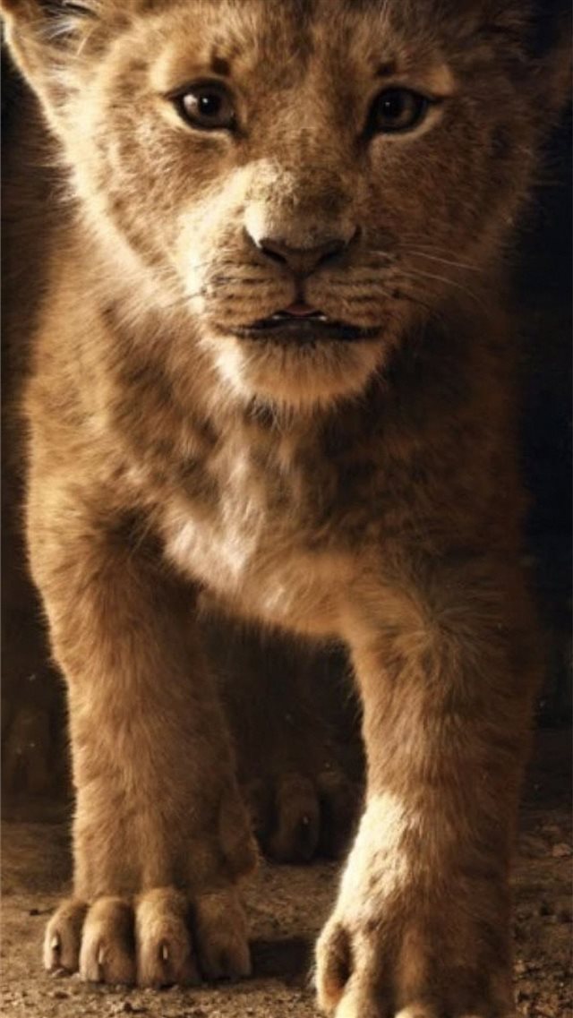 the lion king simba 2019 4k iPhone SE wallpaper 