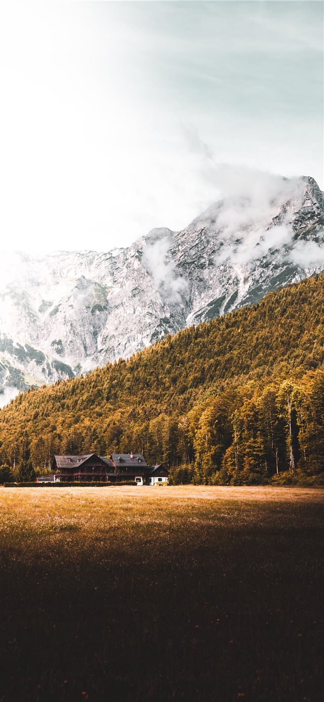House  Forest and Mountain in Austria  iPhone X wallpaper 