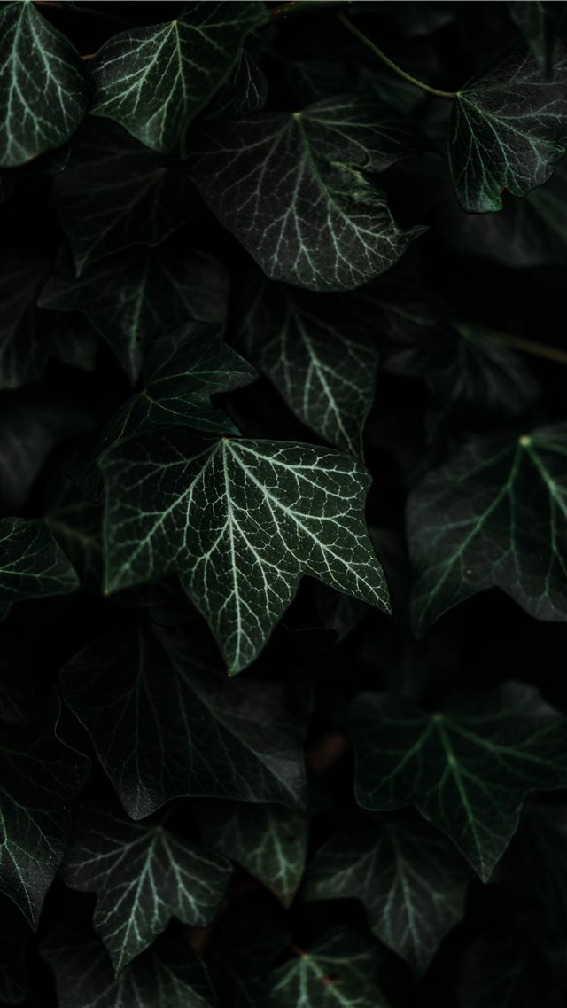 Textures and composition  iPhone 8 wallpaper 