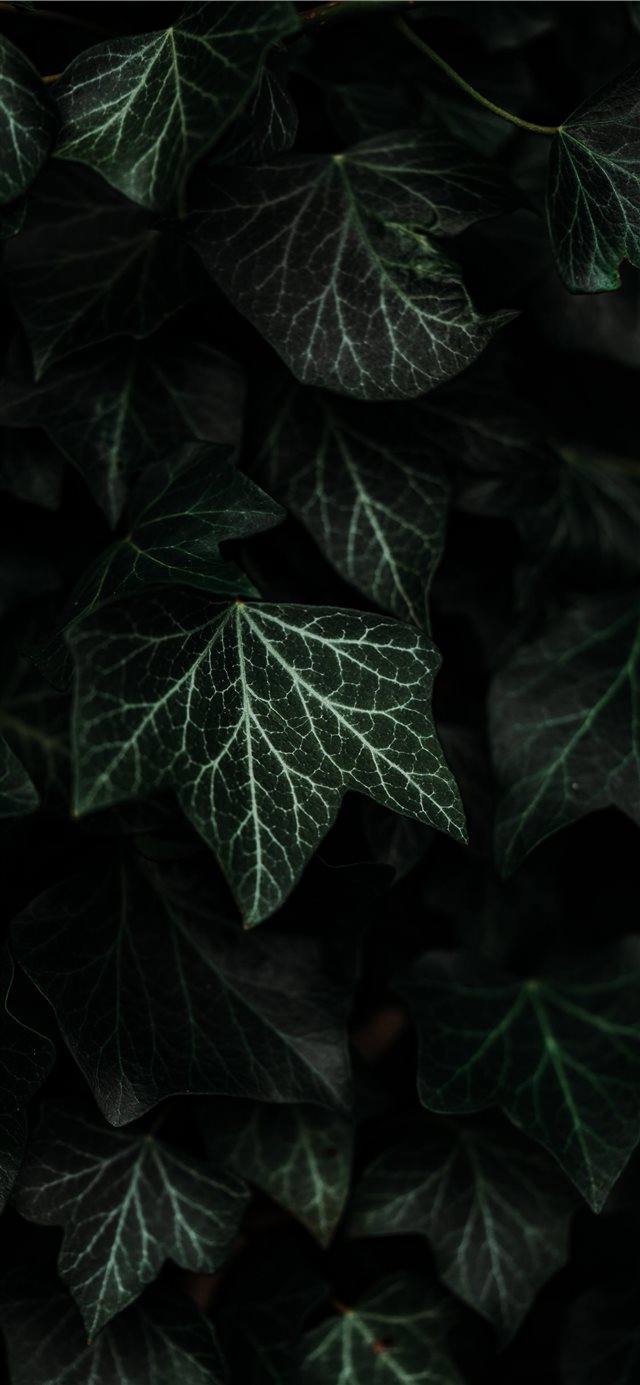 Textures and composition  iPhone X wallpaper 