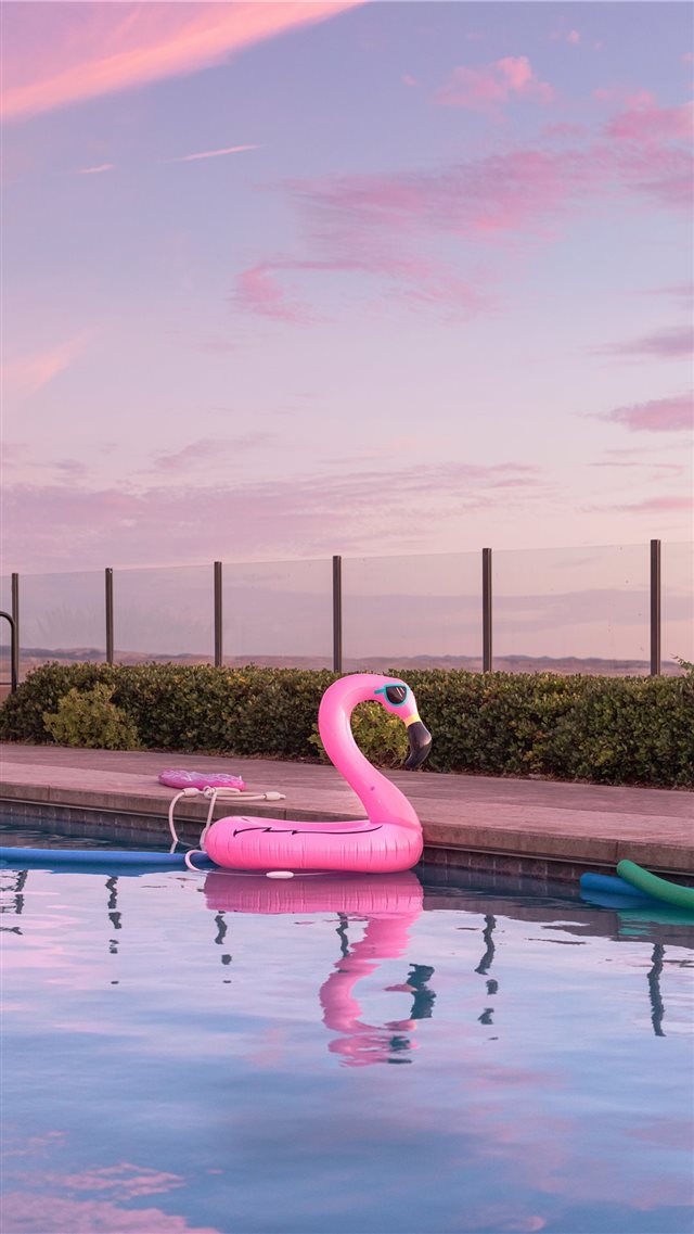 Tomorrow is Saturday  Inflatables  iPhone 8 wallpaper 