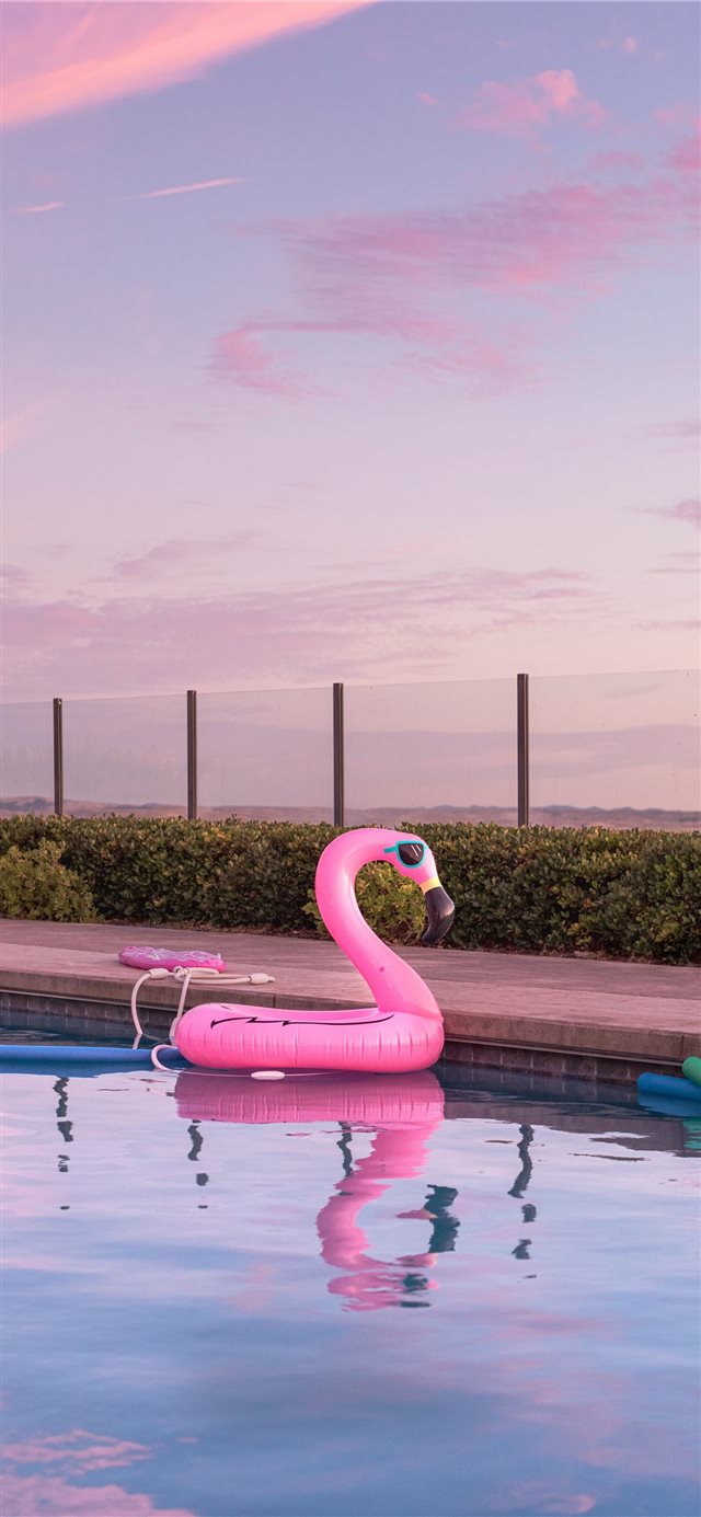 Tomorrow is Saturday  Inflatables  iPhone X wallpaper 