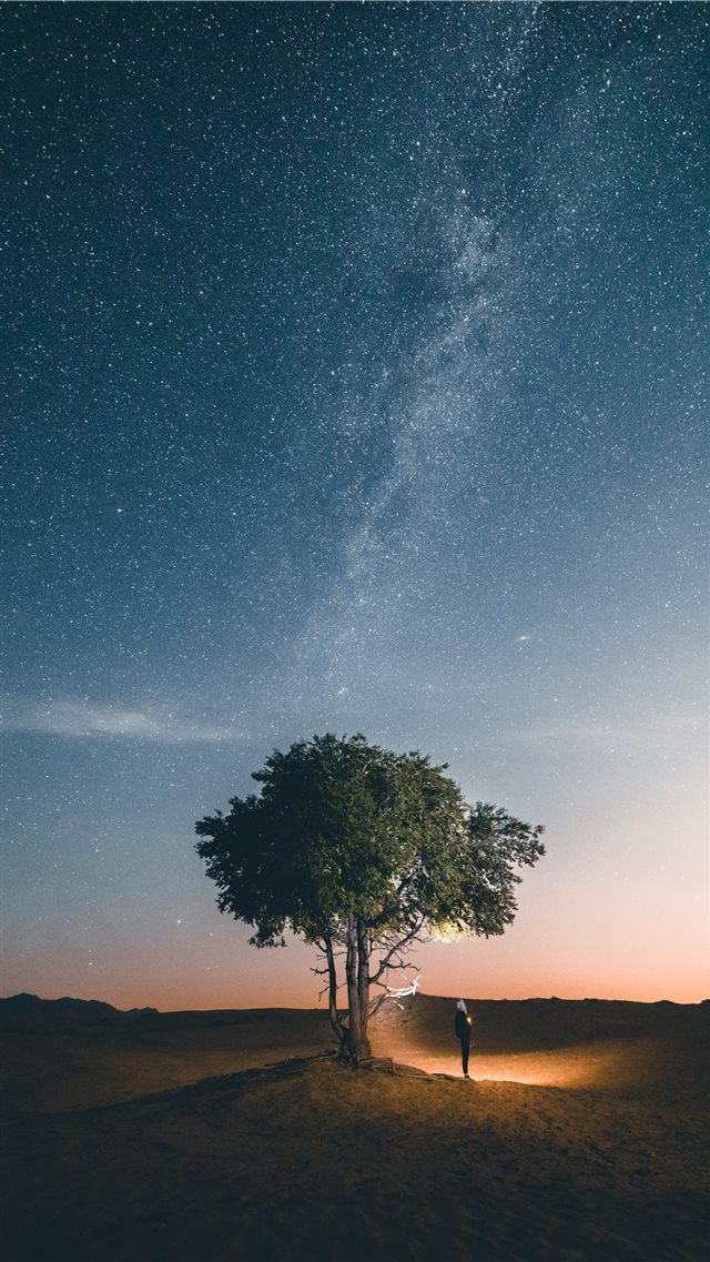 Follow your own star iPhone 8 wallpaper 