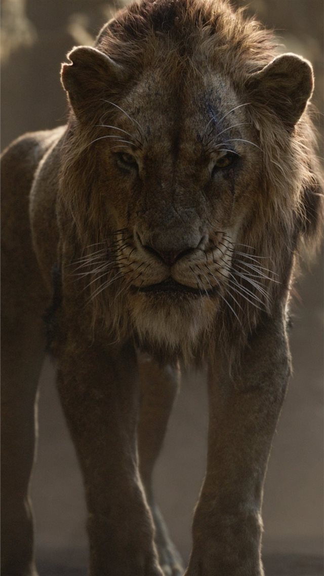 the lion king 2019 scar iPhone 8 wallpaper 
