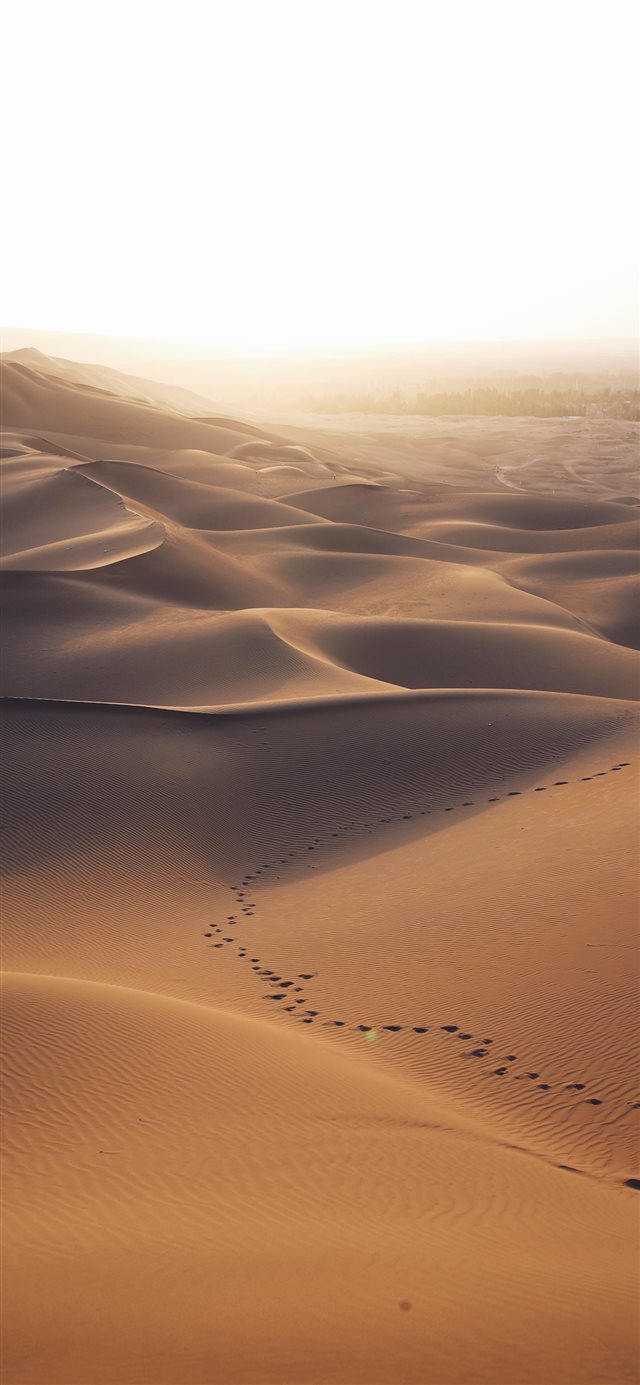 aerial photo of brown desert iPhone 11 wallpaper 