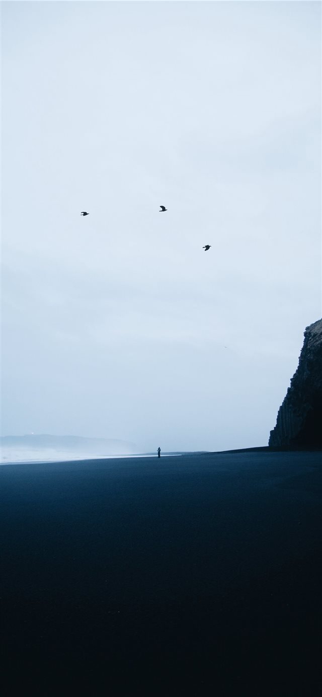 Reynisfjara Black Sand Beach iPhone 11 wallpaper 