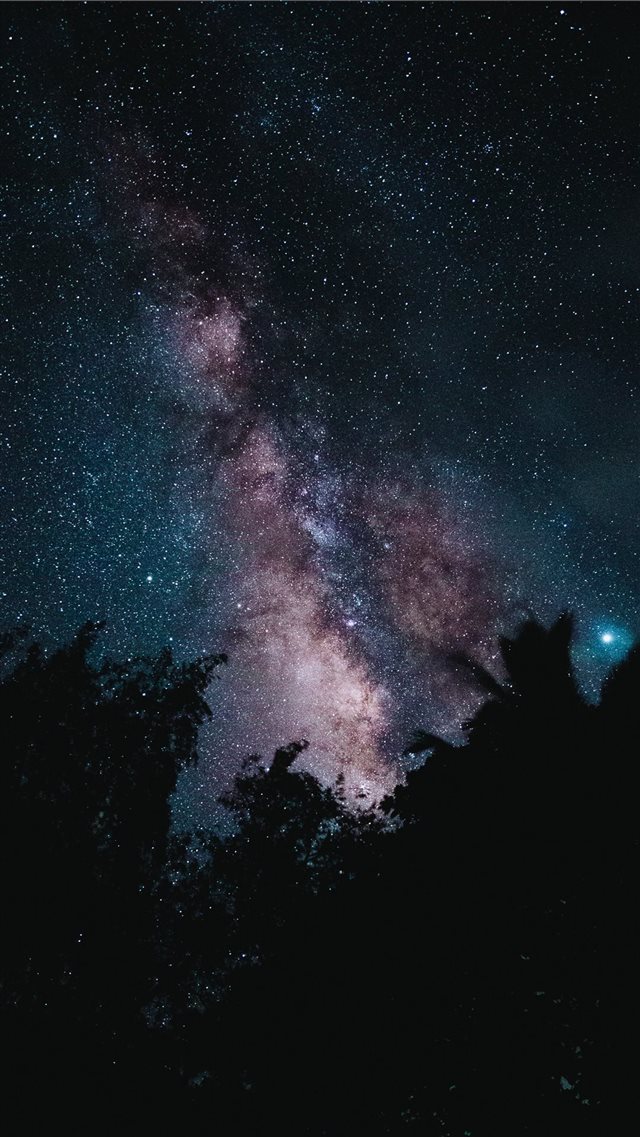 silhouette of trees across starry sky iPhone 8 wallpaper 