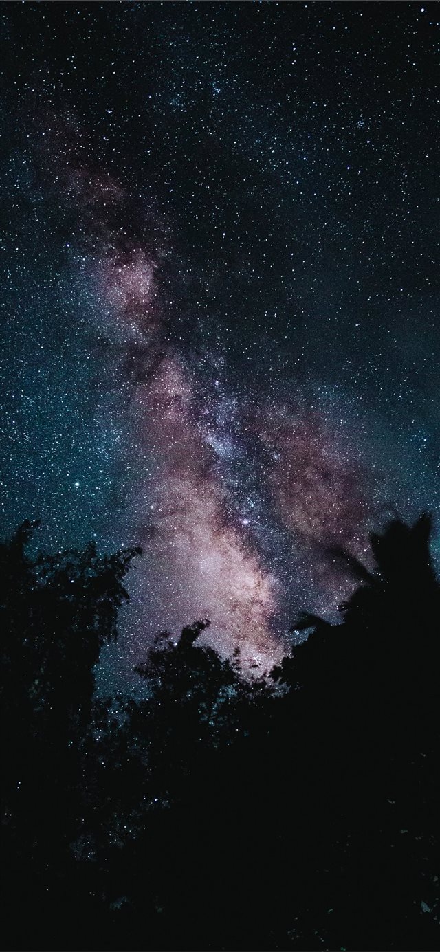 silhouette of trees across starry sky iPhone X wallpaper 