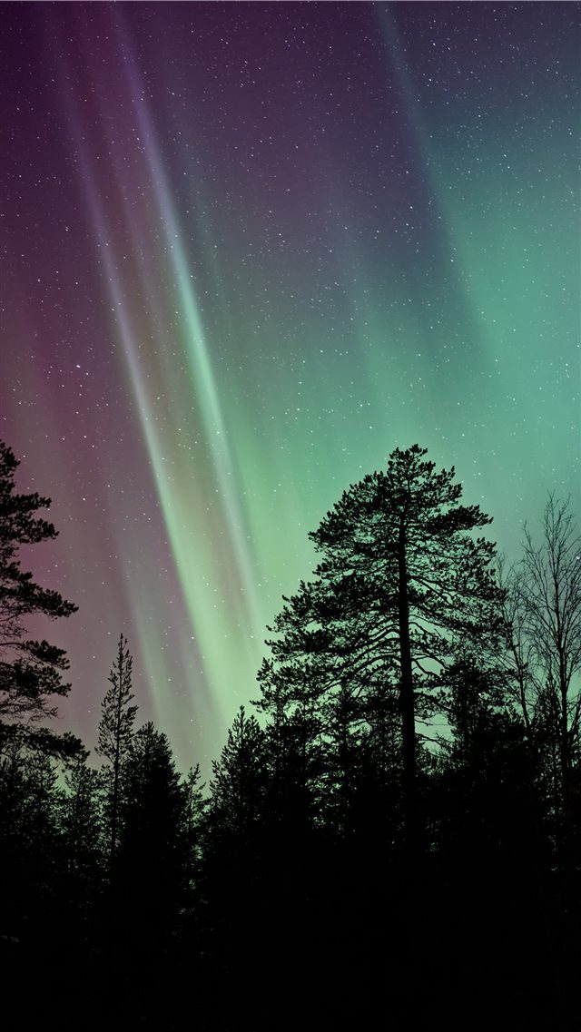 silhouette photo of aurora borealis iPhone 8 wallpaper 
