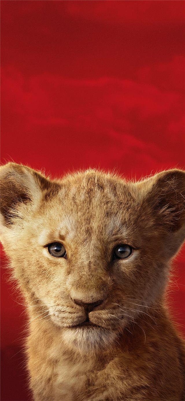 the lion king 2019 5k iPhone X wallpaper 
