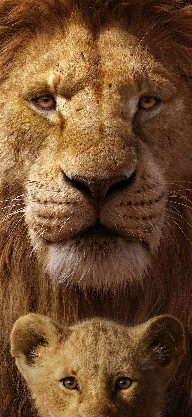 the lion king 8k iPhone 11 wallpaper 