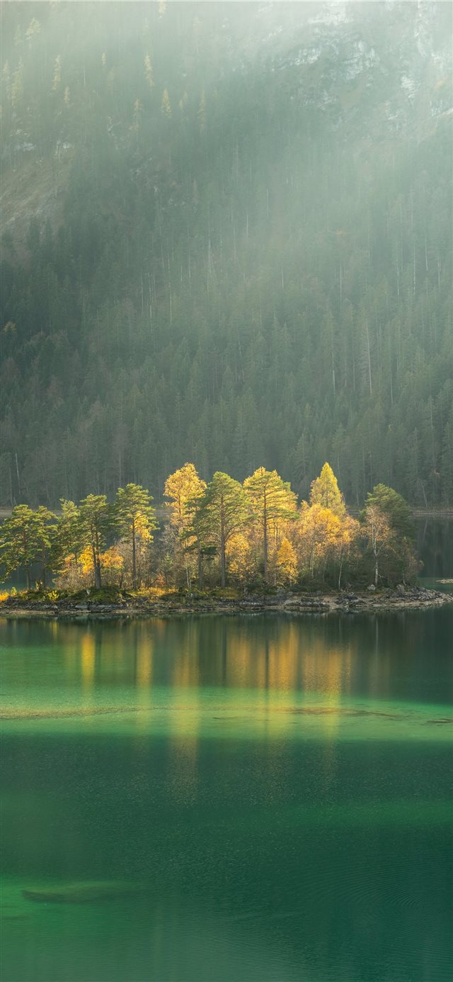 trees surrounded by body water during daytime iPhone X wallpaper 