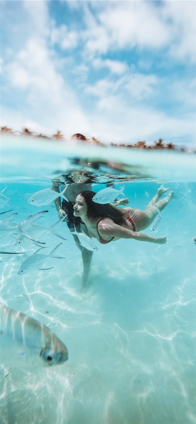 two people diving on clear body of water iPhone 11 wallpaper 