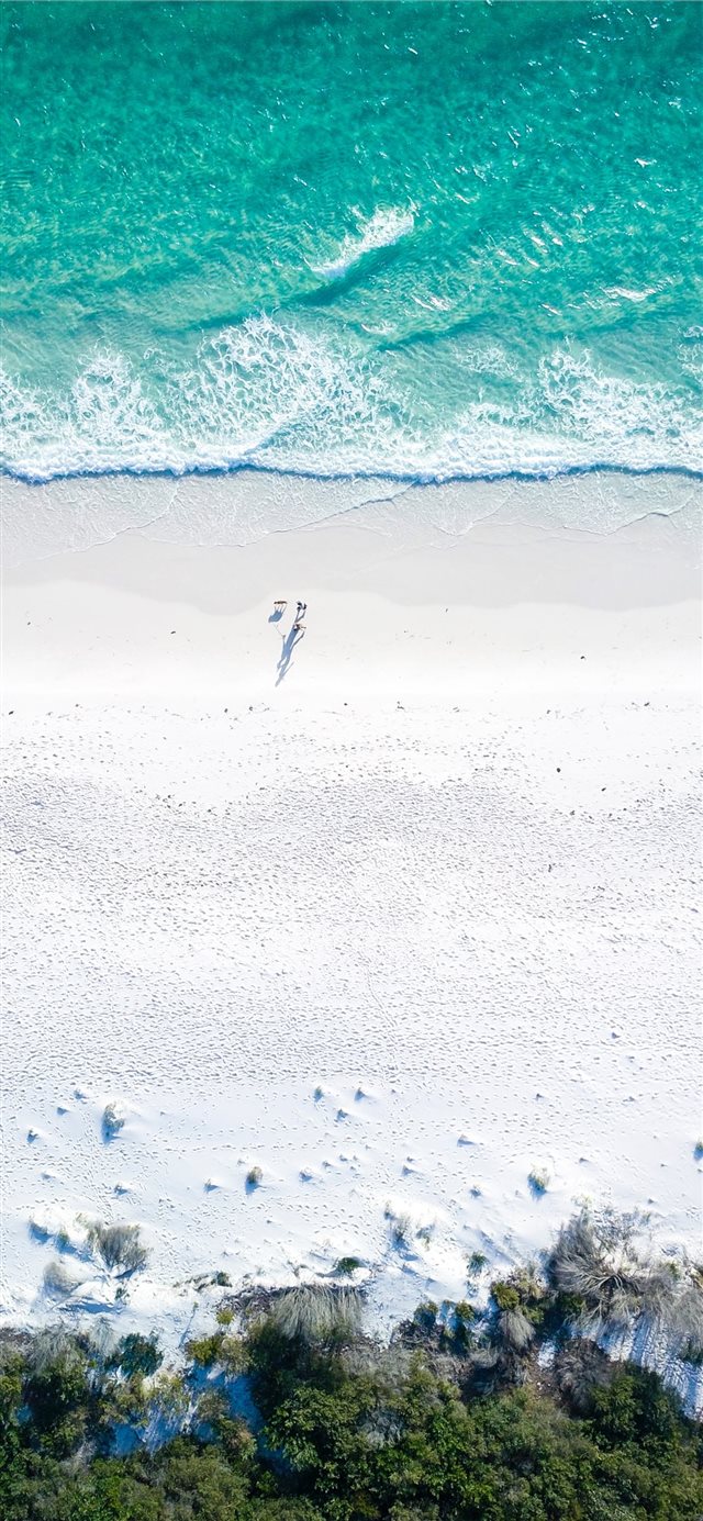 two people on beach during daytime iPhone X wallpaper 