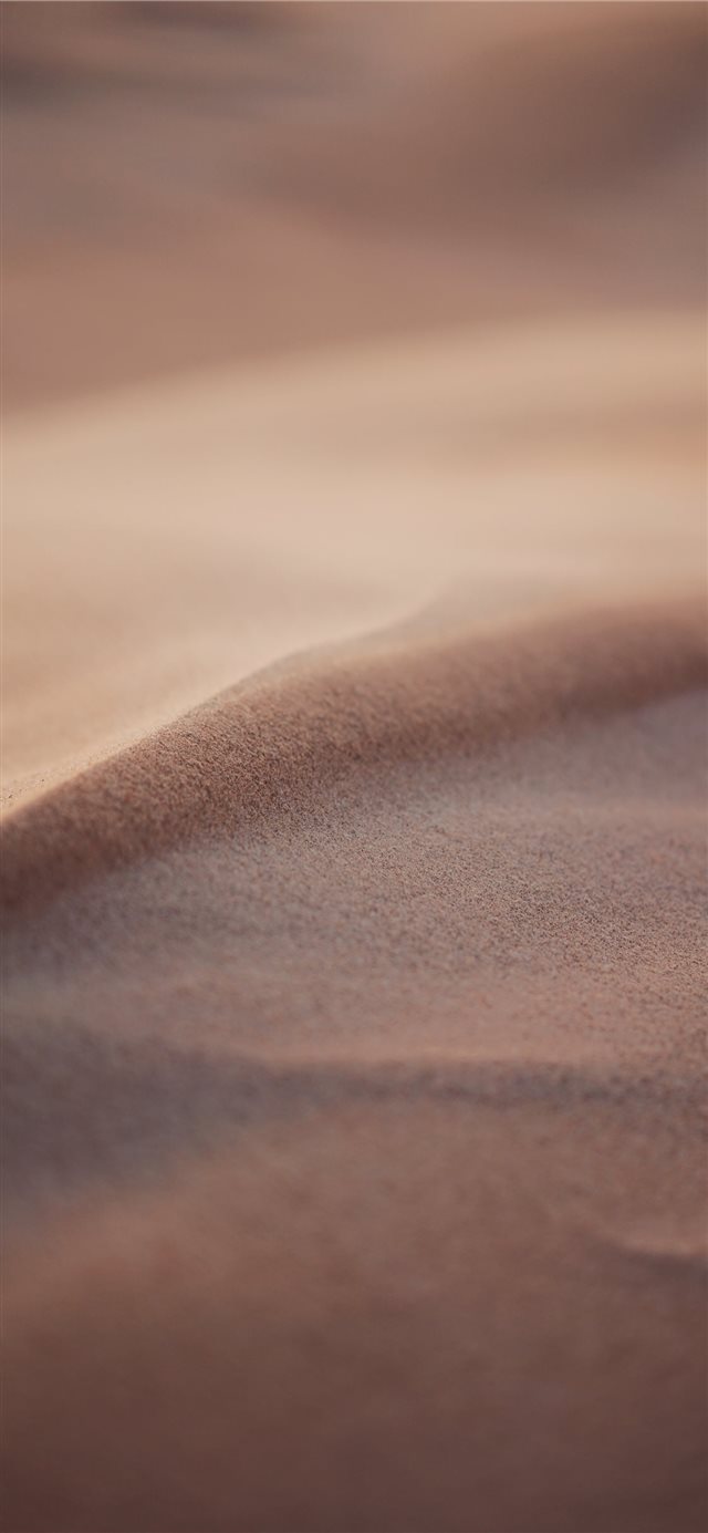 Your first guess might have been a desert the seco... iPhone 11 wallpaper 