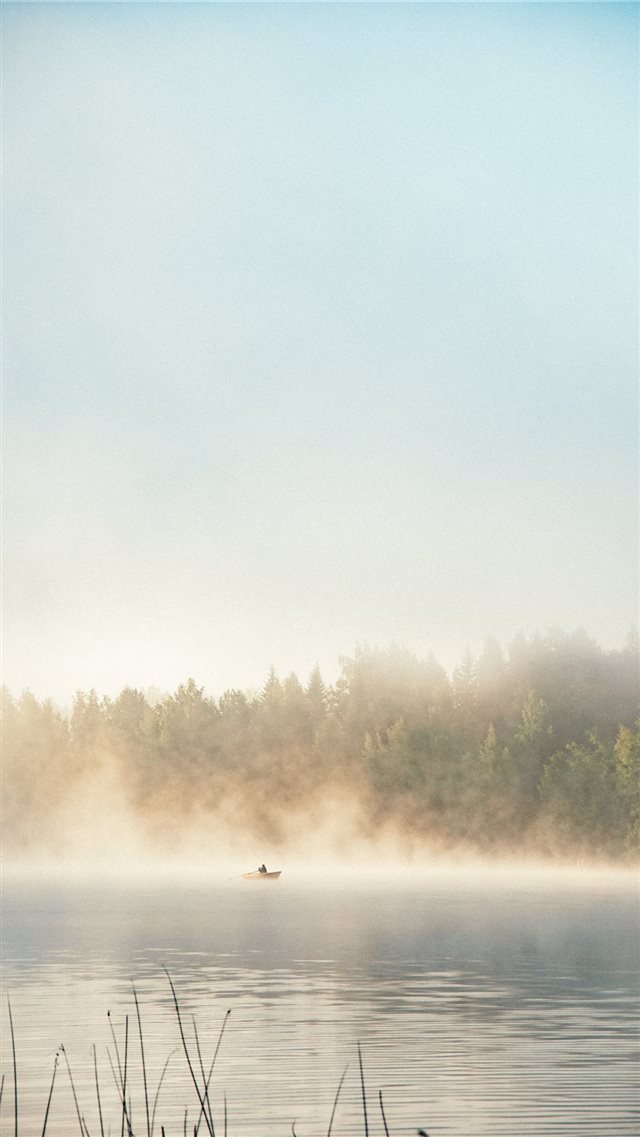 body of water beside trees during daytime iPhone 8 wallpaper 
