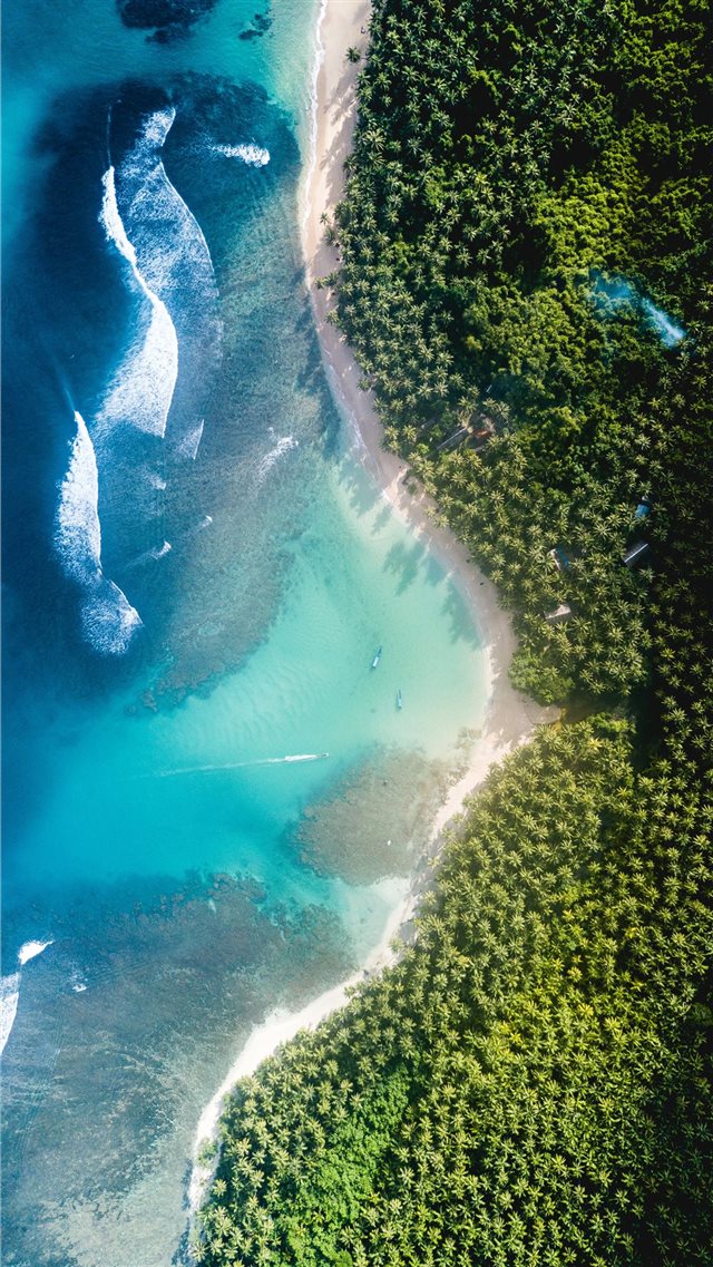 body of water near trees at daytime iPhone 8 wallpaper 