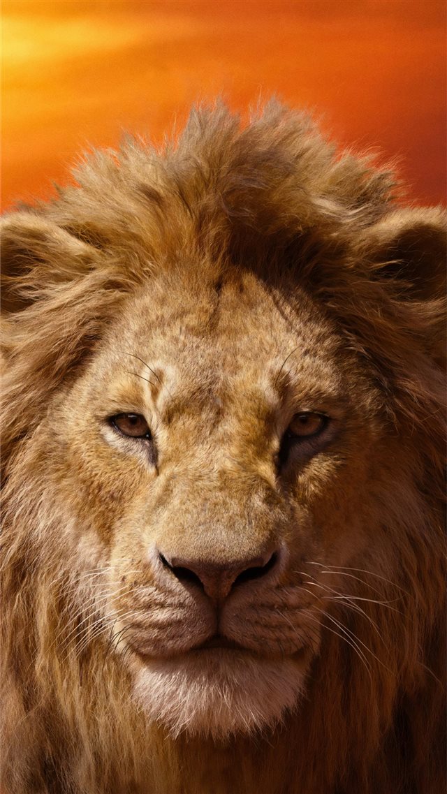 donald glover as simba the lion king 2019 4k iPhone 8 wallpaper 