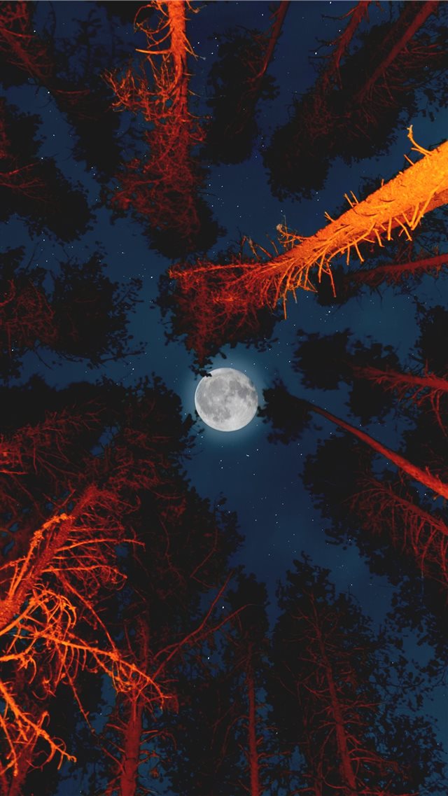 full moon iPhone SE wallpaper 