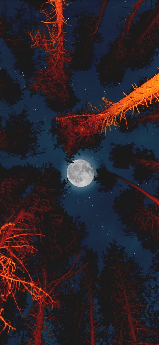 full moon iPhone X wallpaper 