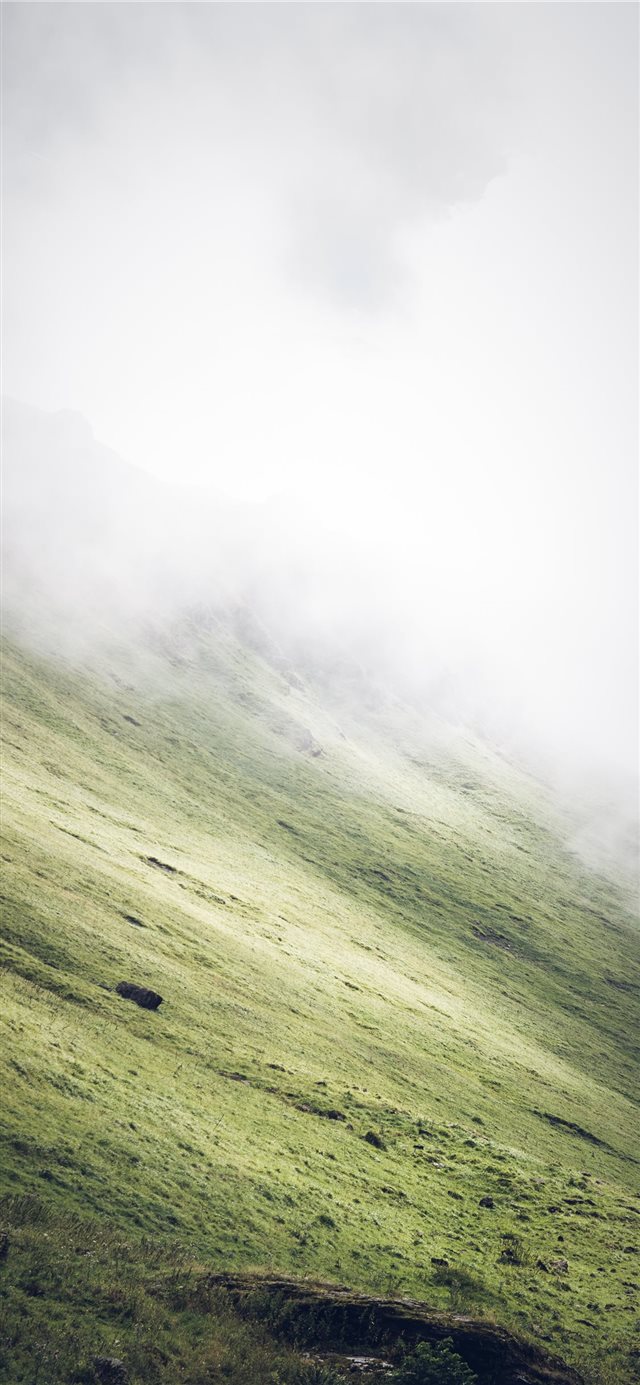 grass covered slope during foggy weather iPhone X wallpaper 