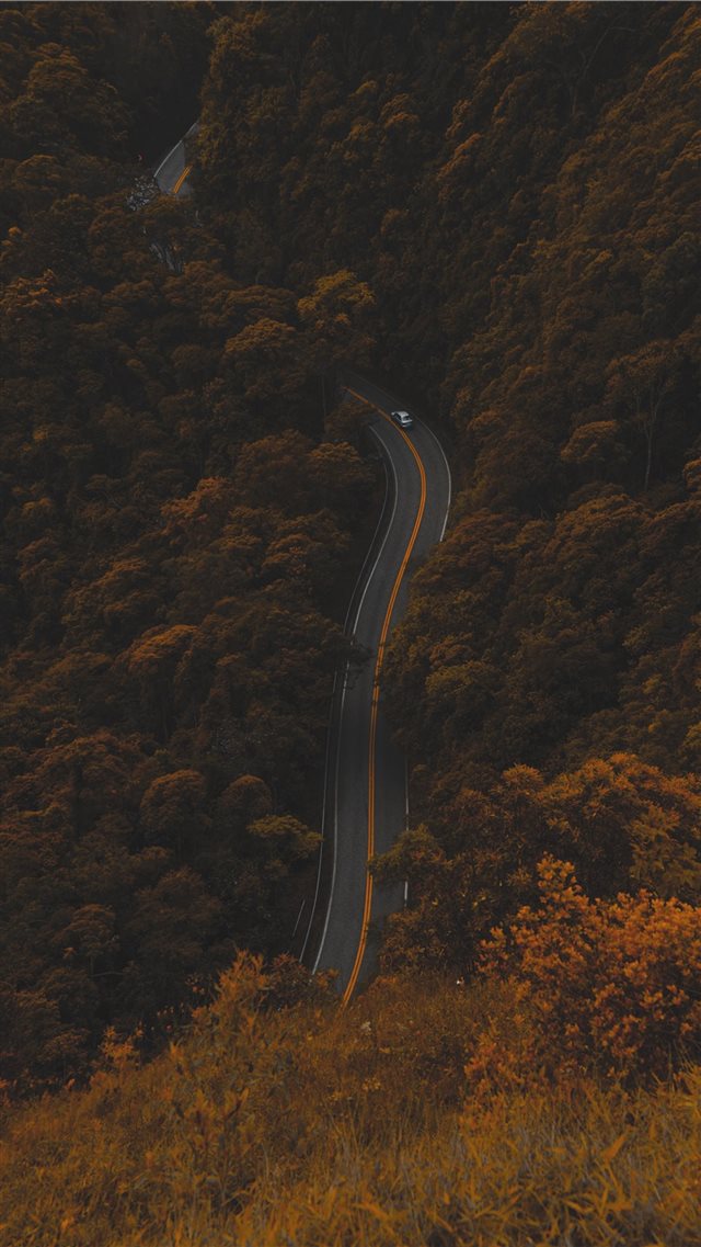 high angle photography of road between trees iPhone 8 wallpaper 