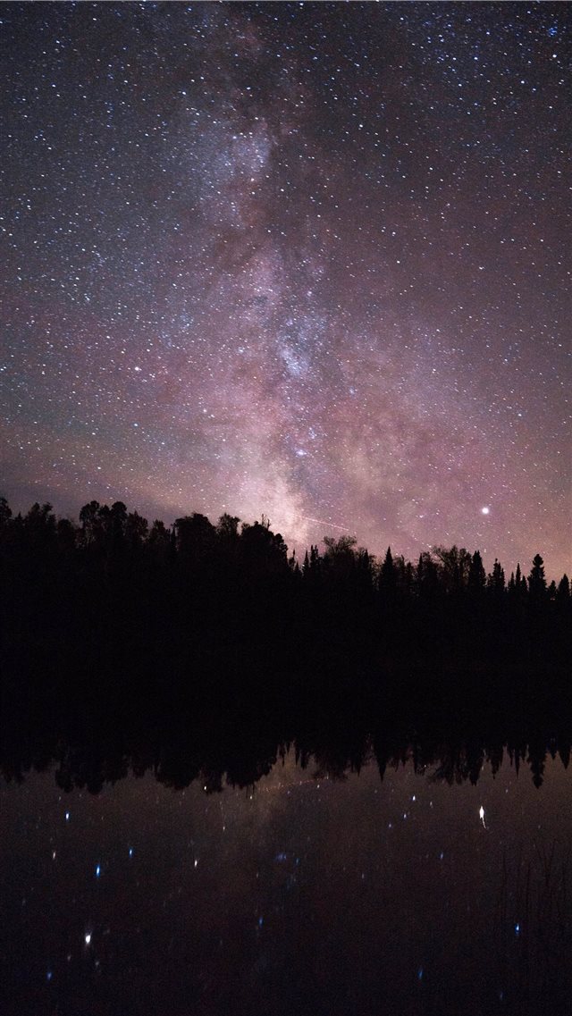 silhouette of trees and night sky photo iPhone 8 wallpaper 