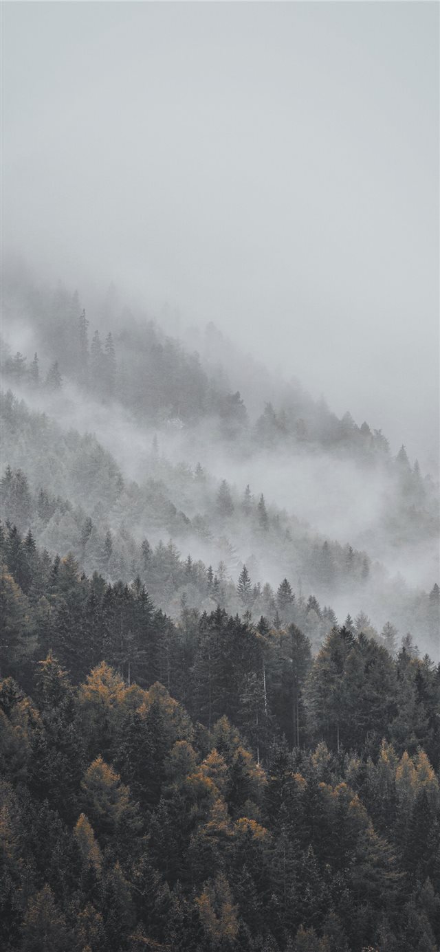 aerial photography of forest covered with snow dur... iPhone X wallpaper 