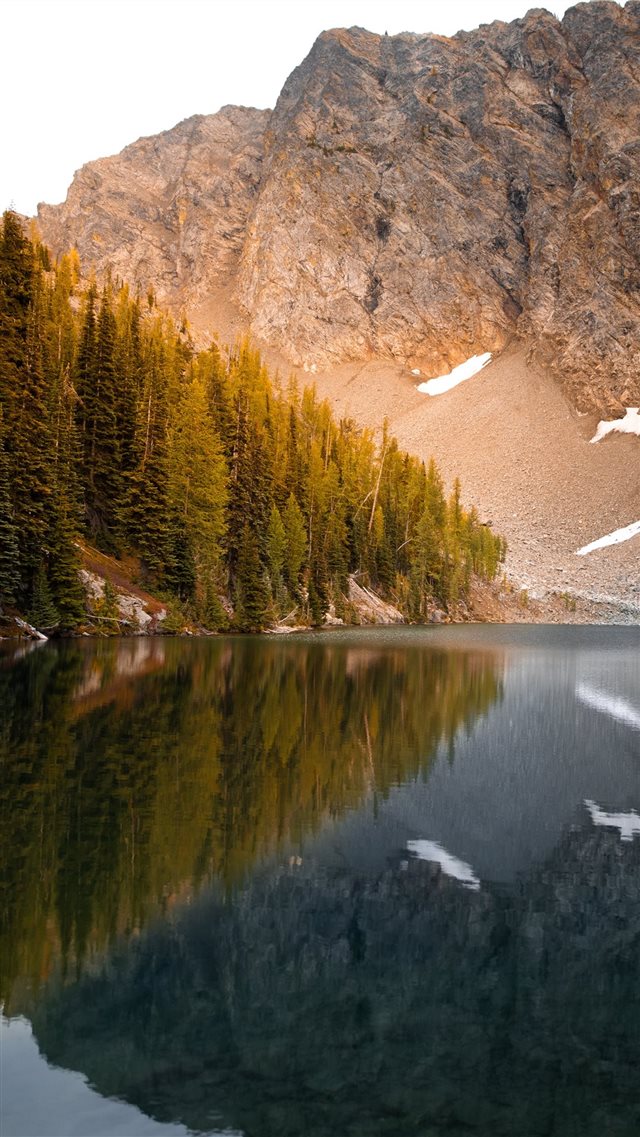lake beside trees and mountain iPhone 8 wallpaper 