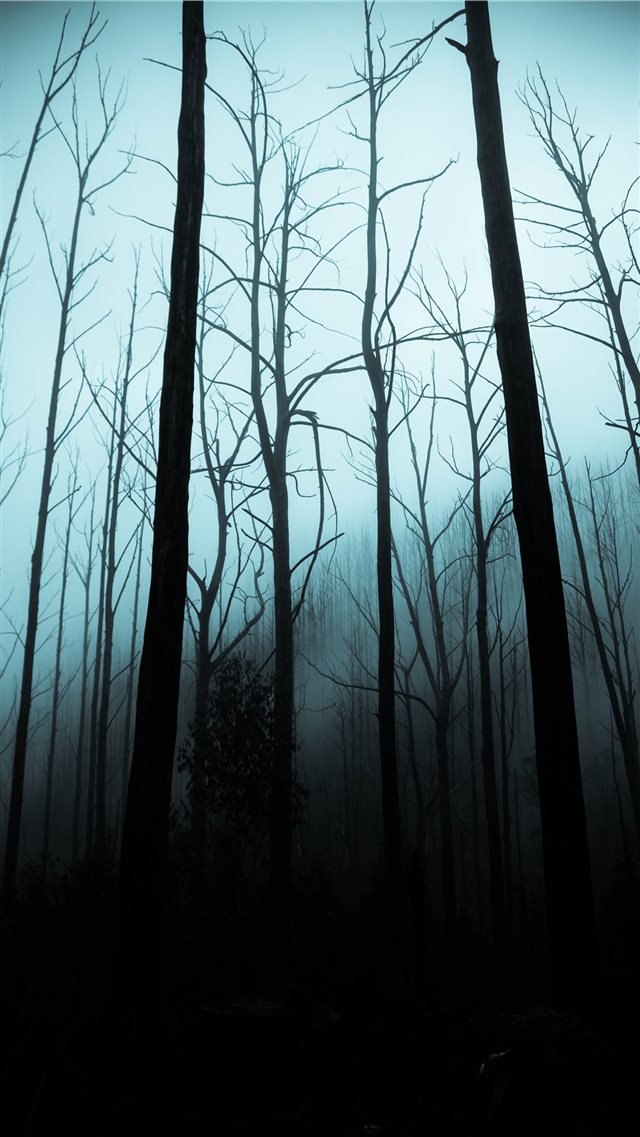 leafless trees on forest during dark sky iPhone 8 wallpaper 