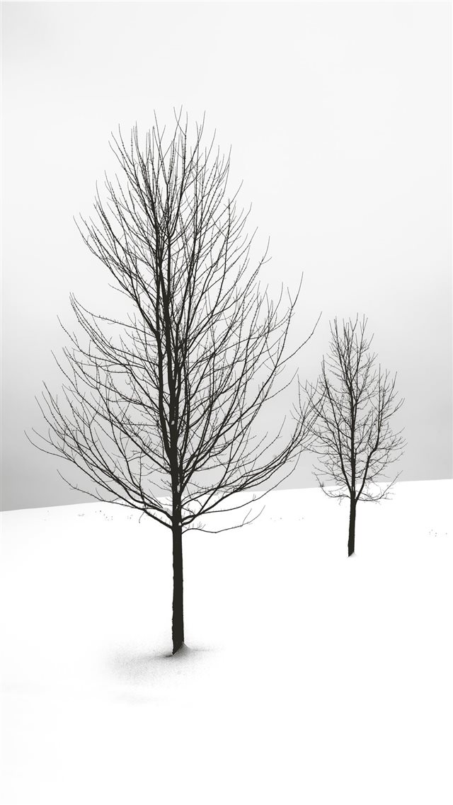 selective focus photography of bare tree iPhone SE wallpaper 
