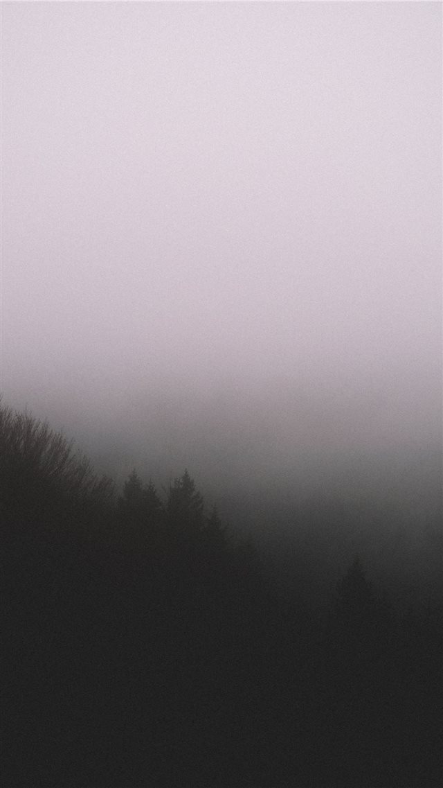 silhouette of trees with fog iPhone 8 wallpaper 