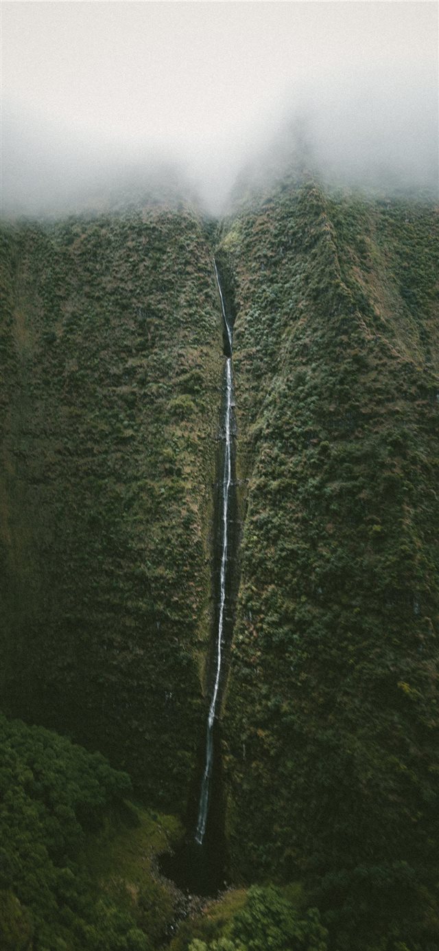 waterfall at mountain covered with trees iPhone 11 wallpaper 