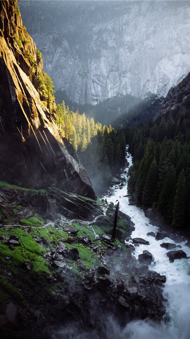 waterfalls between trees iPhone 8 wallpaper 